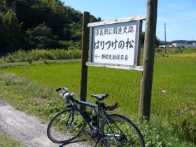 はりつけの松・入口